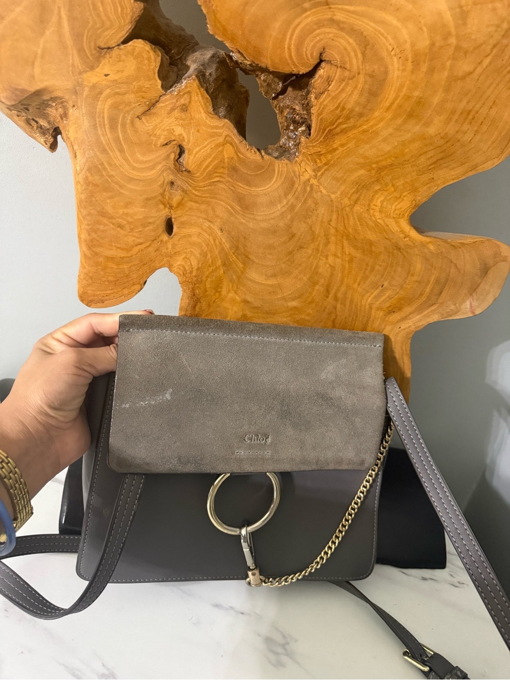 ChloE FayE Small Crossbody Bag in Taupe Gray